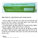 하모니카C반 이미지