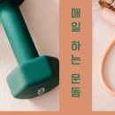 핏점핑스타