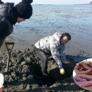 반도식품 이미지