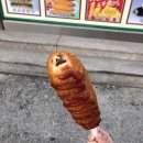 꼬치리아 이미지