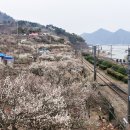 원동[동] 티스토리
