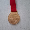 포항종합운동장 | 2025년 포항해변하프마라톤 10km 후기, 바다 옆을 달리는 마라톤 대회