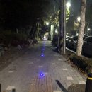 파란조명 이미지