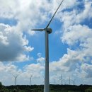 풍력발전소 이미지
