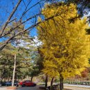 섬지골 캠핑장 이미지