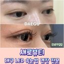 삼우사우나 | 오래가는 대구LED속눈썹연장 새로뷰티 후기, 유지기간, 관리팁