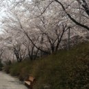 흥부바지걸쳐입고 이미지