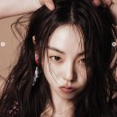 대왕만두 이미지
