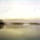 새들의천국 이미지