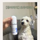 버디스토어 - 홍천군 | 1년 넘게 사용 중인 강아지 발바닥 에센스 추천! 퓨어버디 포우에센스 후기