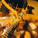 욜로게스트하우스