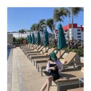 푸켓 정실론 근처 엠소셜 호텔, M social hotel 다녀온 후기