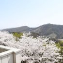 필승로(4) 이미지