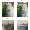 대운초등학교 Daum카페