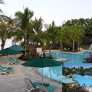 알레그레 이미지