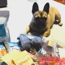 트릿츄잇 이미지