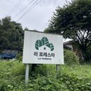 스타글램핑 | 충북 제천 라포레스타 글램핑 몬테 내돈내산 후기