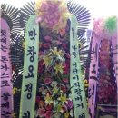 도니랑 이미지