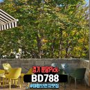 분당 일찍 오픈하는 야탑 브런치 맛집 BD788(비디788)