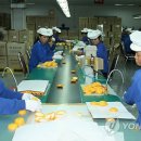 3공단1로-16 이미지