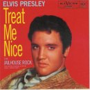 Treat Me Nice - Elvis Presley - 이미지