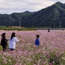 서석