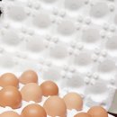 오탄농장 이미지