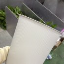 고속터미널 꽃시장 다녀온 후기 | 강남 고터 꽃시장 6만원으로 꽃다발 15개 만들었다