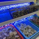 평택조개구이무한리필 이미지