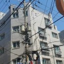 강서구-29 이미지
