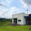 햄릿과 올리브 이미지