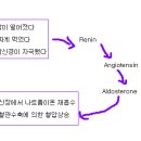 Nephrology 1 이미지