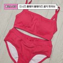 라인댄스 (입문) | 폴댄스 복장 입문 의상 드니즈 폴웨어 실착 후기 착샷