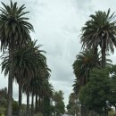 캘리포니아하우스 | [Los Angeles, 로스앤젤레스] LA 한인 민박 따뜻한 호스트가 있는 'LA 선샤인 하우스' 숙박 후기