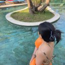 2주 살기 (6) : 우붓에서 길리로 이동, 길거리 가판대 스노클링 예약, 수미사태, 이지길리 후기, 길리...
