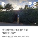 벨라유나 이미지