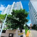 강서구-45 이미지