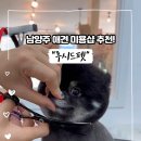 루시드펫 이미지