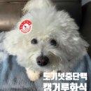 소.화식당 | 도기넛 중단백 캥거루 화식 후기ㅣ노견 강아지 화식 추천