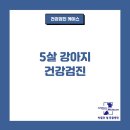 박물관옆동물병원 이미지