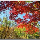 운주목장 이미지