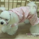 봄내병원 이미지