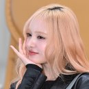 리즈 이미지
