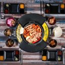 열정의 닭 이미지