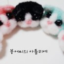예쁜멍멍이 이미지