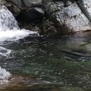 긴집민박 이미지