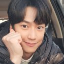 멍뭉컷 이미지