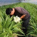 고창근농장 이미지