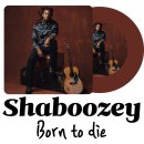쿡앤리빙(cook n living) | 빌보드 19주 1위! 샤부지 Shaboozey 누구? Born to die 가사해석 및 뜻 (ft. 그래미 수상)