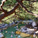 센스모텔 이미지